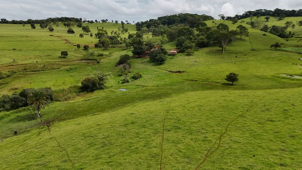 Fazenda (Nerópolis-go) 20.57 alqueires  - Foto 5