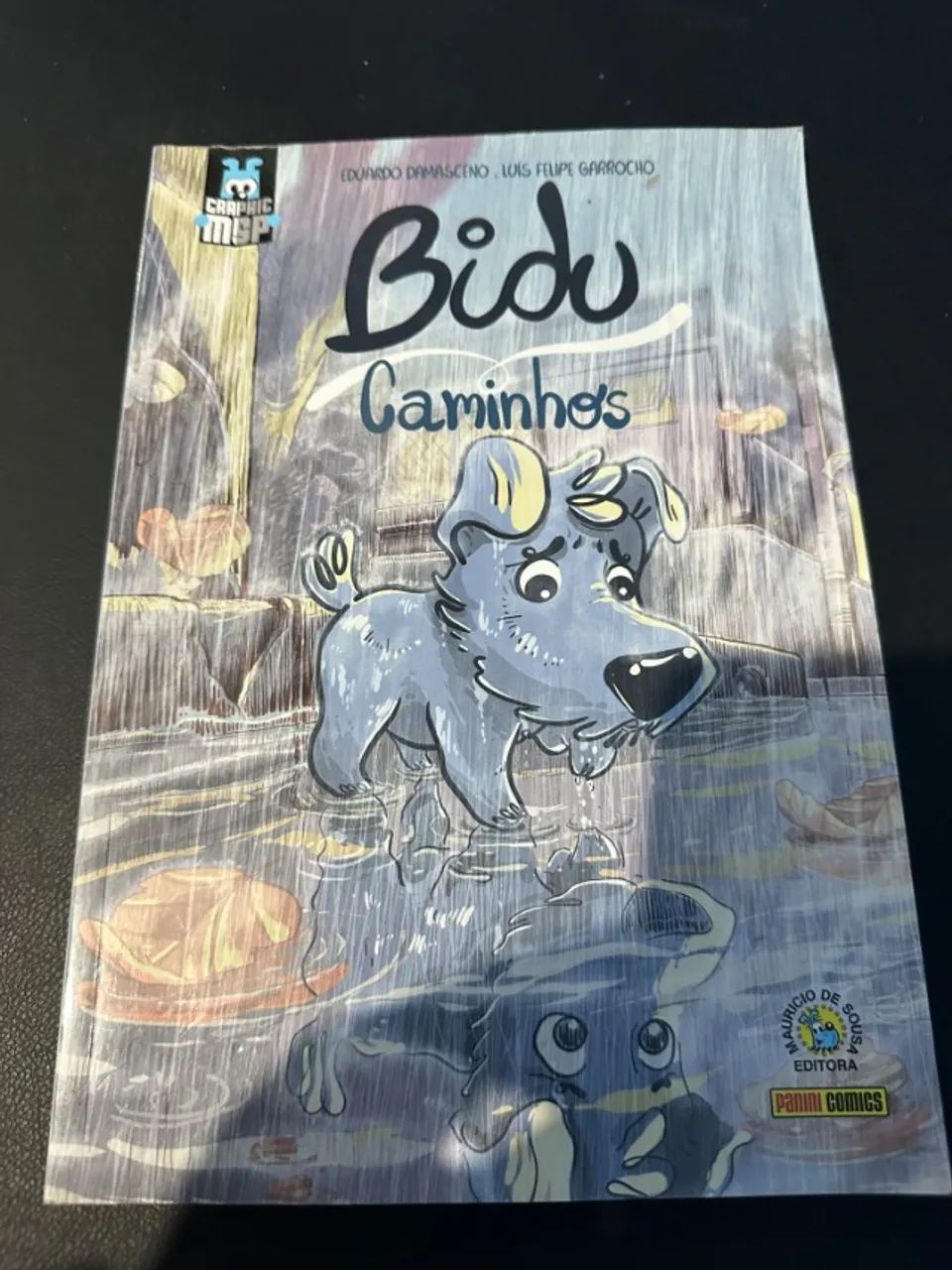 HQ Bidu Caminhos - Foto 3