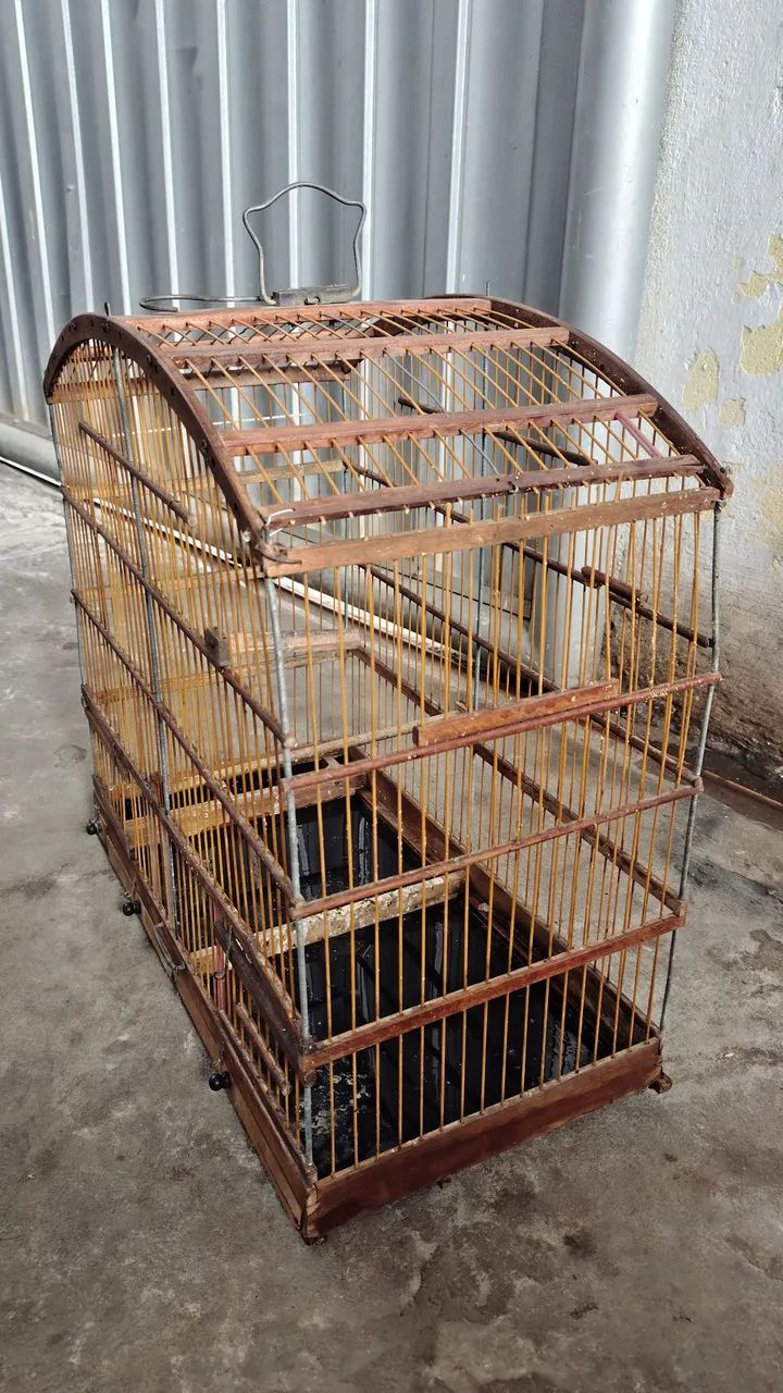 Gaiola - Foto 2