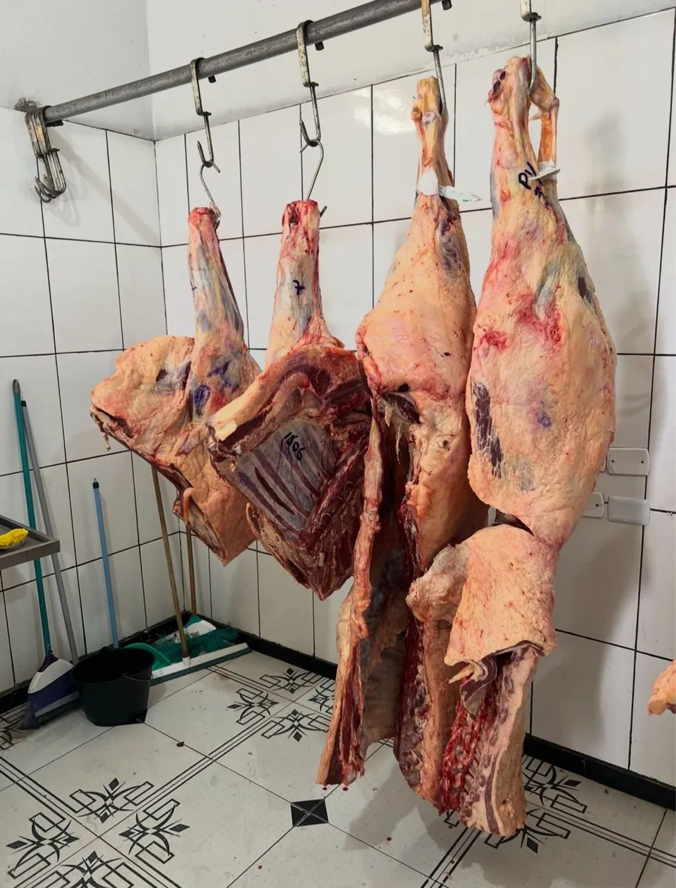 VENDO AÇOUGUE  - Foto 5