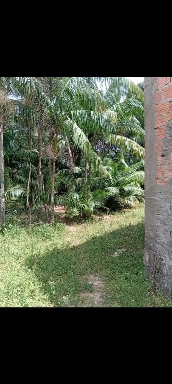 Vende-se uma casa  - Foto 3