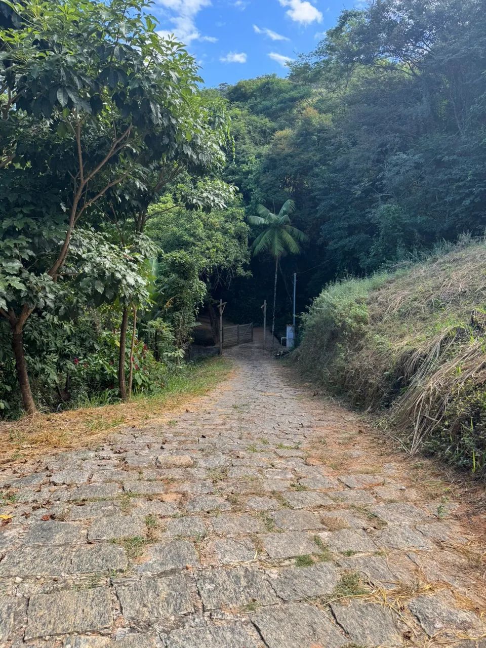 Vende-se Sítio em Ipatinga - MG - Foto 2