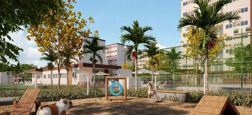 CAPIBARIBE PRIME - Foto 11