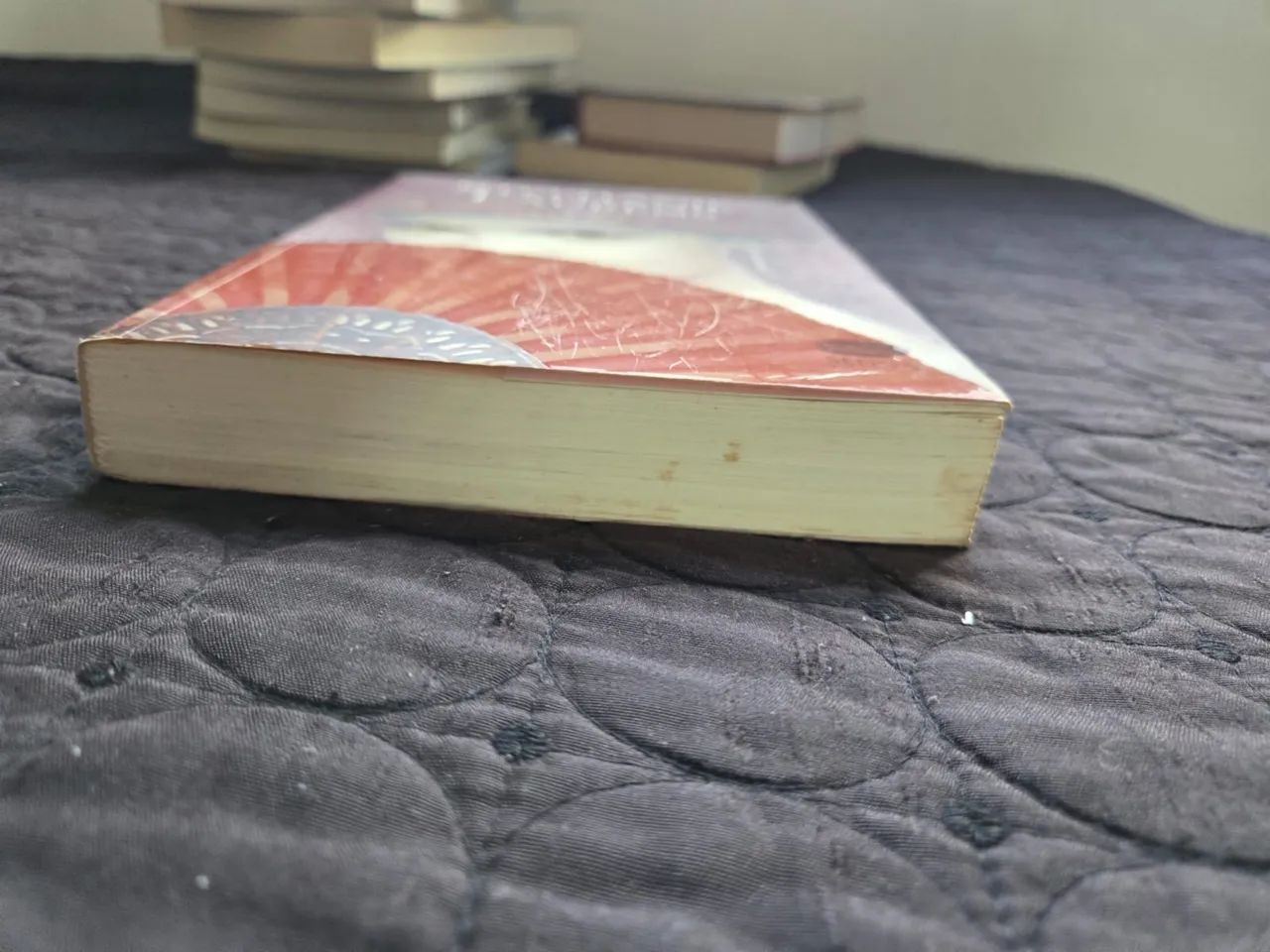 Livro O Preço do Amor  - Foto 2