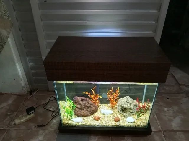 Aquário Novo e Completo 42L - Foto 5