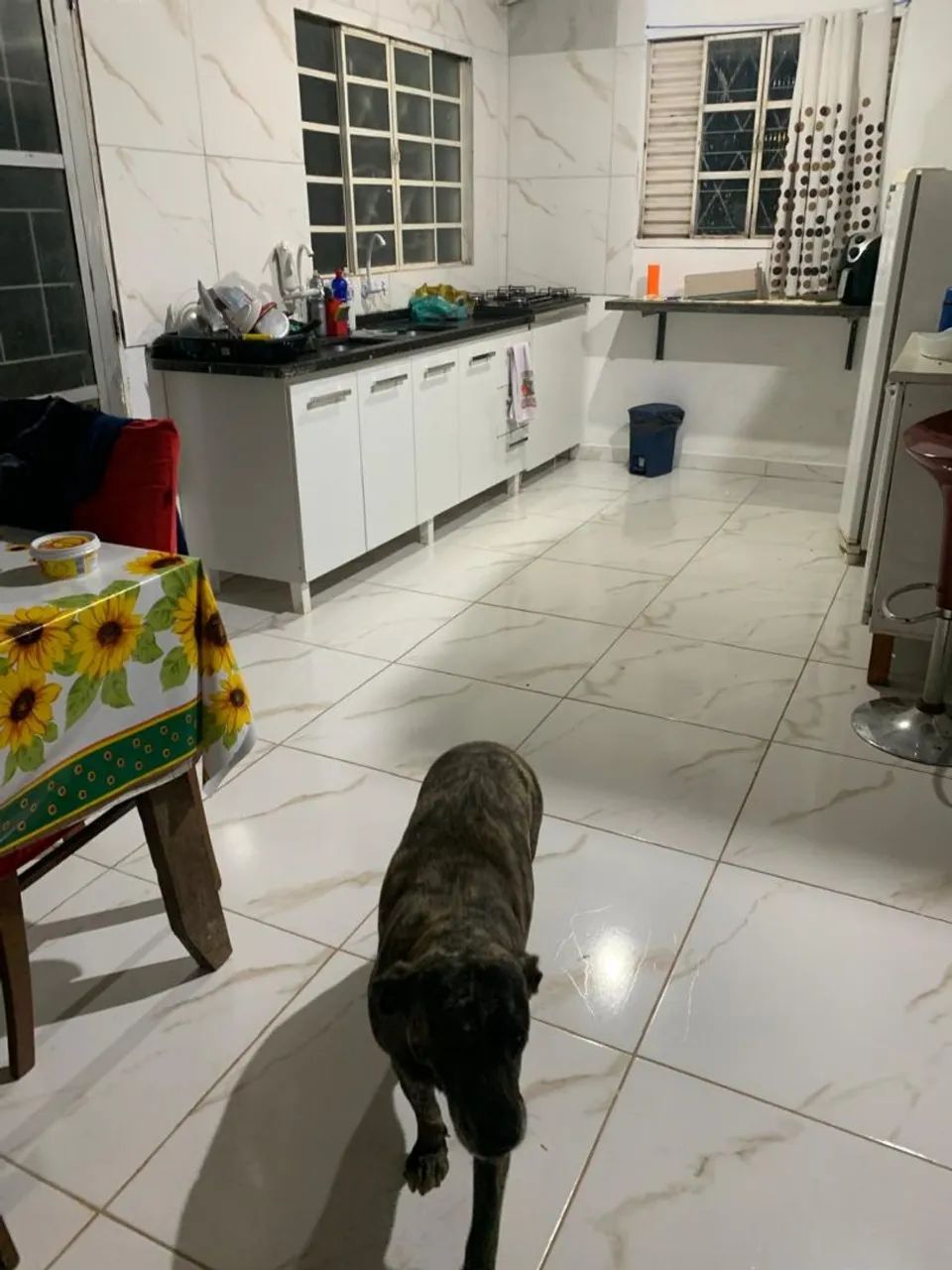 Vendo casa na 26 de setembro  - Foto 5