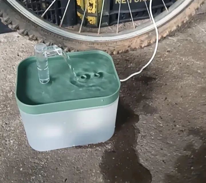 Kit de acessórios para gato 