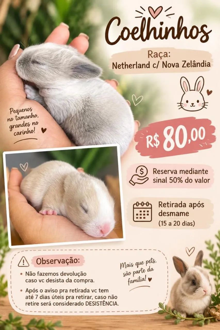 Coelho 