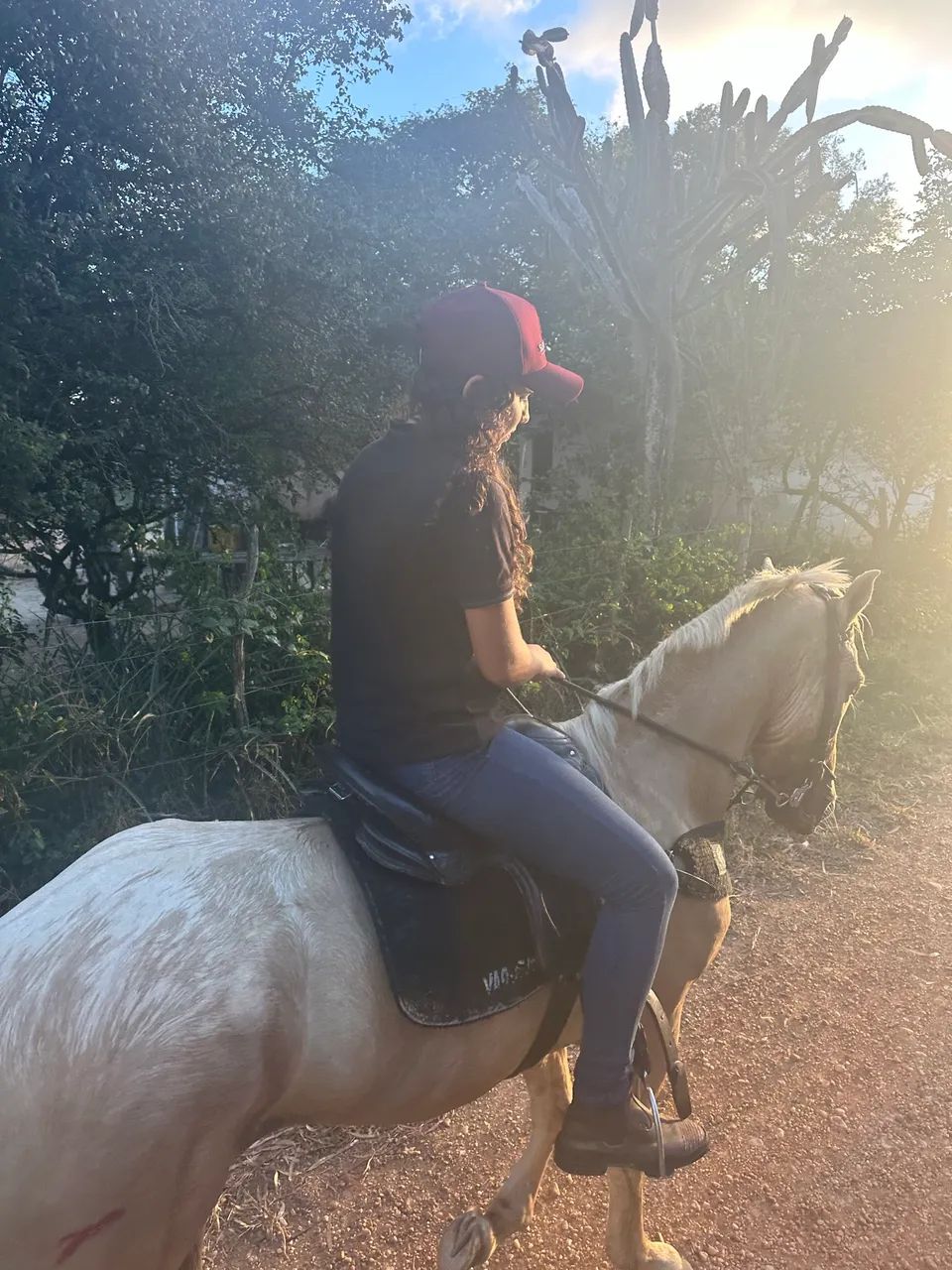 Vendo ou troco cavalo - Foto 3