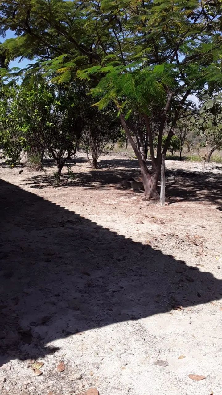 Fazendinha em Três Marias 60.000 m2 - Foto 4