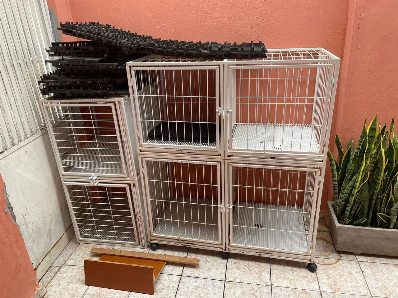 Itens veterinária 