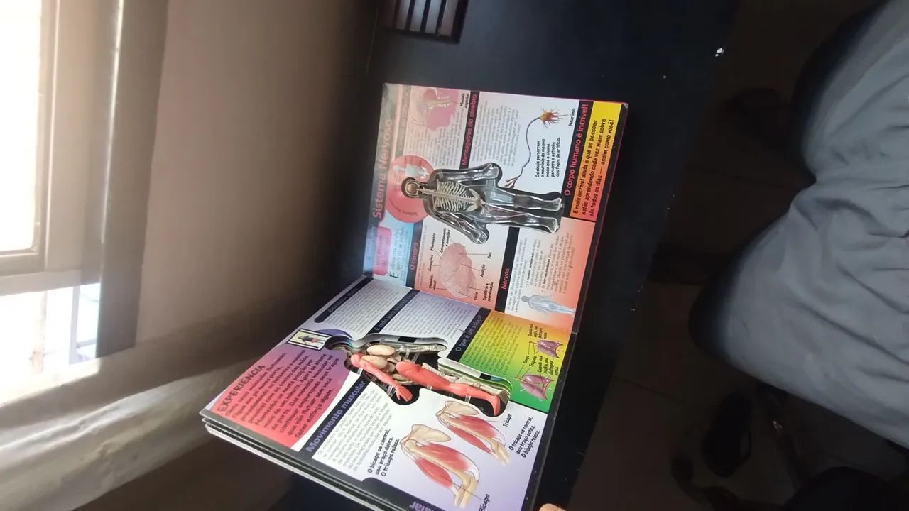 Por Dentro do Corpo Humano - Foto 3