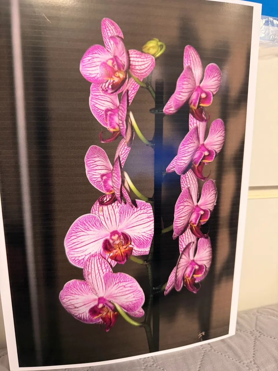 Curso de fotografia - Foto 4