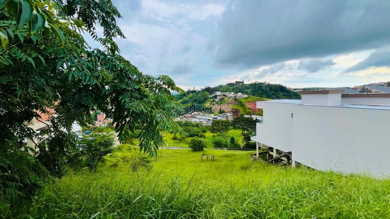 Lote / Terreno - Grama - Foto 2