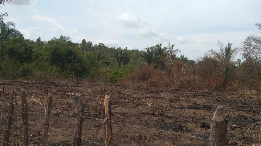 Terreno, com 1600m², excelente para chácara  - Foto 2