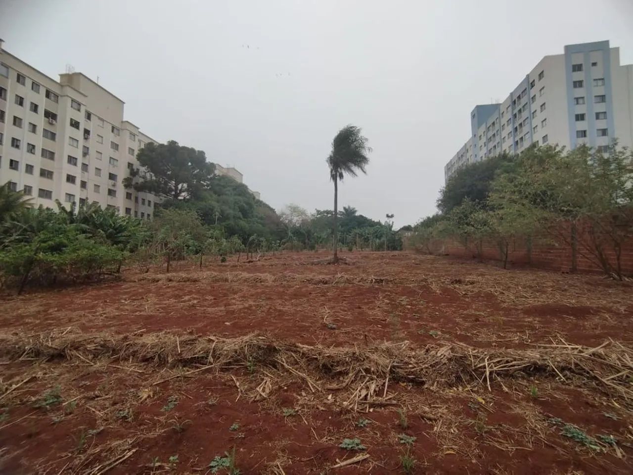 Terreno com 2691.7 m² à Venda no Jardim Alvorada - Maringá - Foto 2