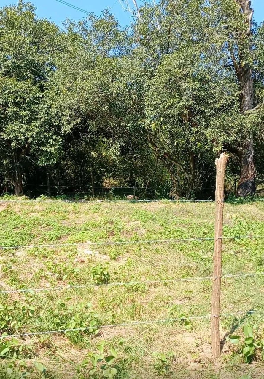 Vendo terreno. - Foto 2