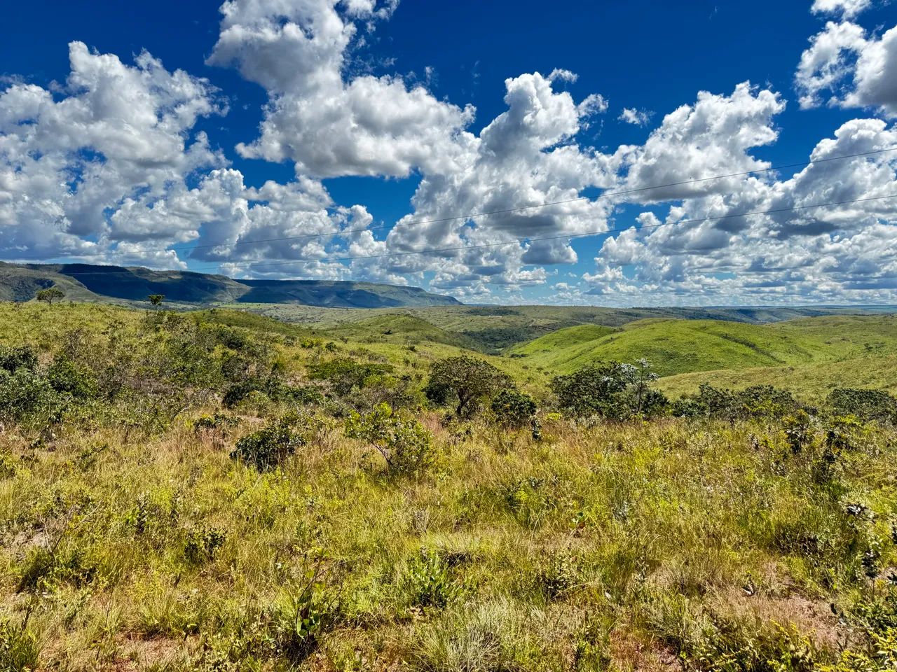 Fazenda com 134 hectares Chapada dos Veadeirosb - Foto 3