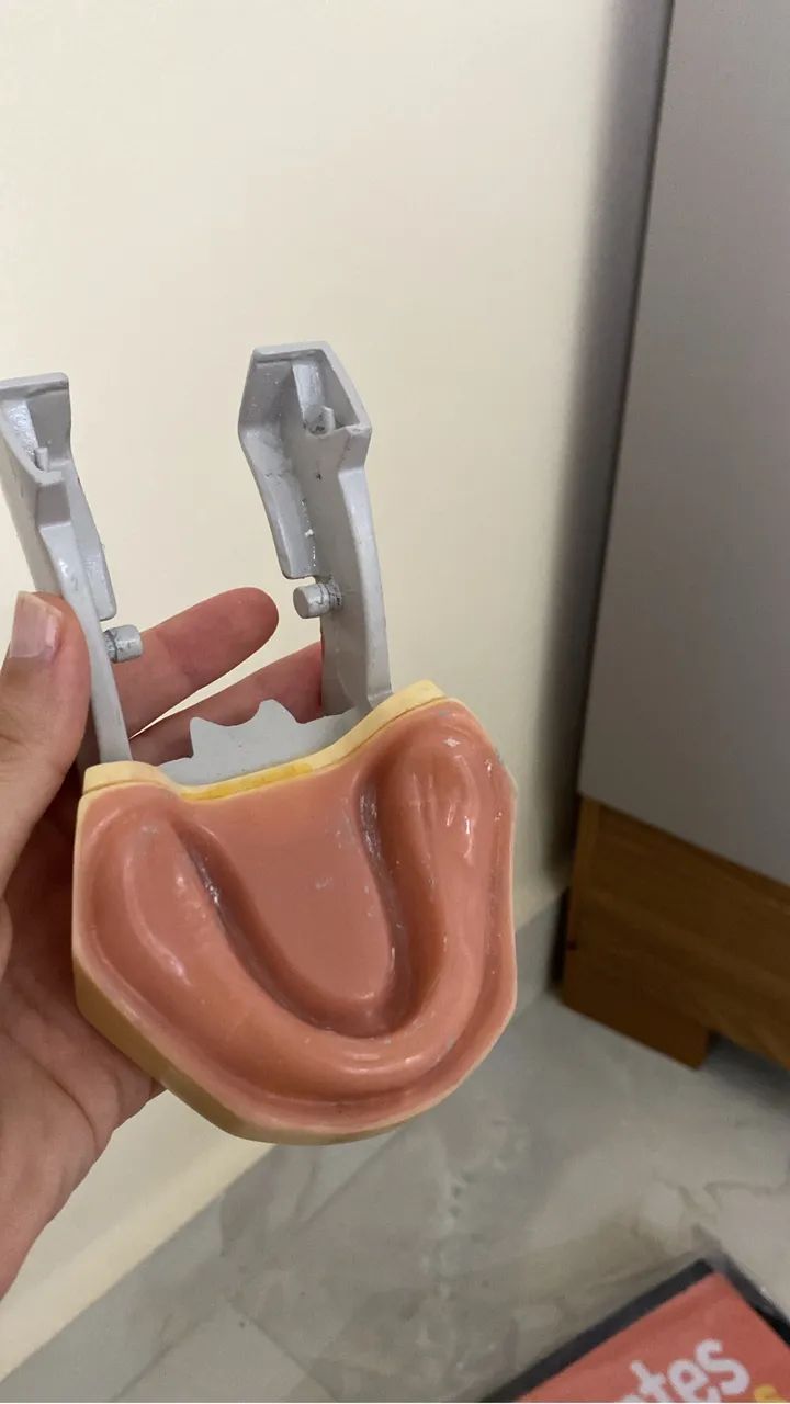 Manequim de odontologia  - Foto 5