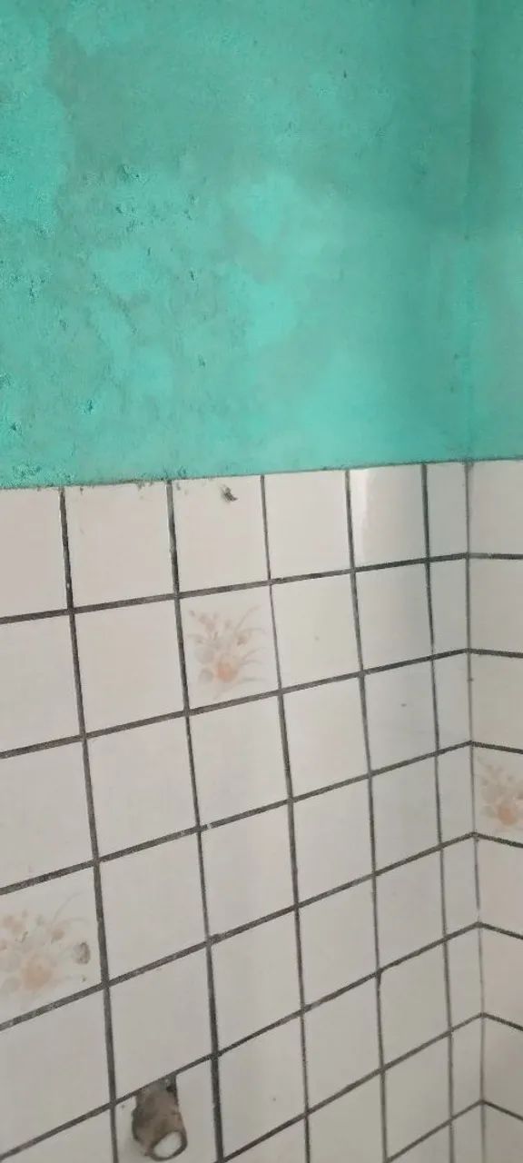 Oportunindade terreno com  kitnets embaixo com.possibilidades de fazer casa em cima  - Foto 5