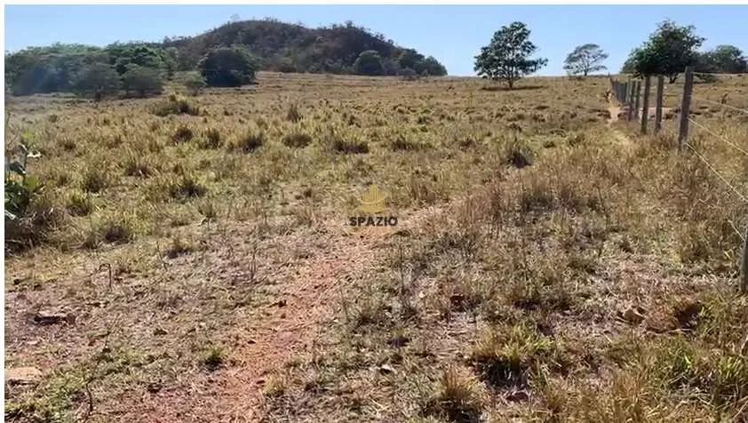 Fazenda, Centro, Rio Verde de Mato Grosso - R$ 5.5 mi, Cod: 105 - Foto 2