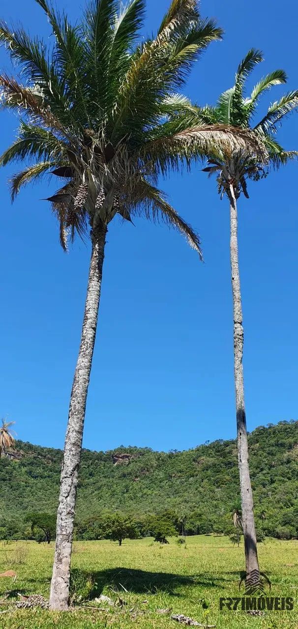 FAZENDA EM URUAÇU  GO - Foto 4