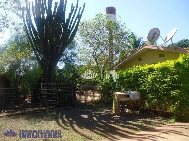 Chácara à venda, 3600 m² por R$ 1.000.000,00 - Indusville - Londrina/PR - Foto 3