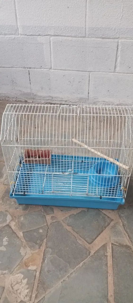 Gaiola  - Foto 4