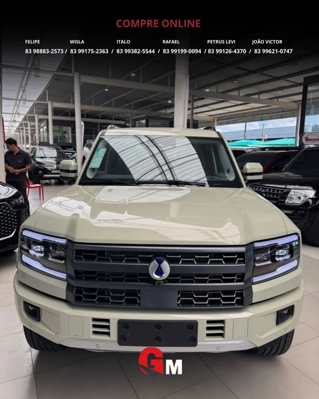 Denza B5 4WD, foto 4 de 20