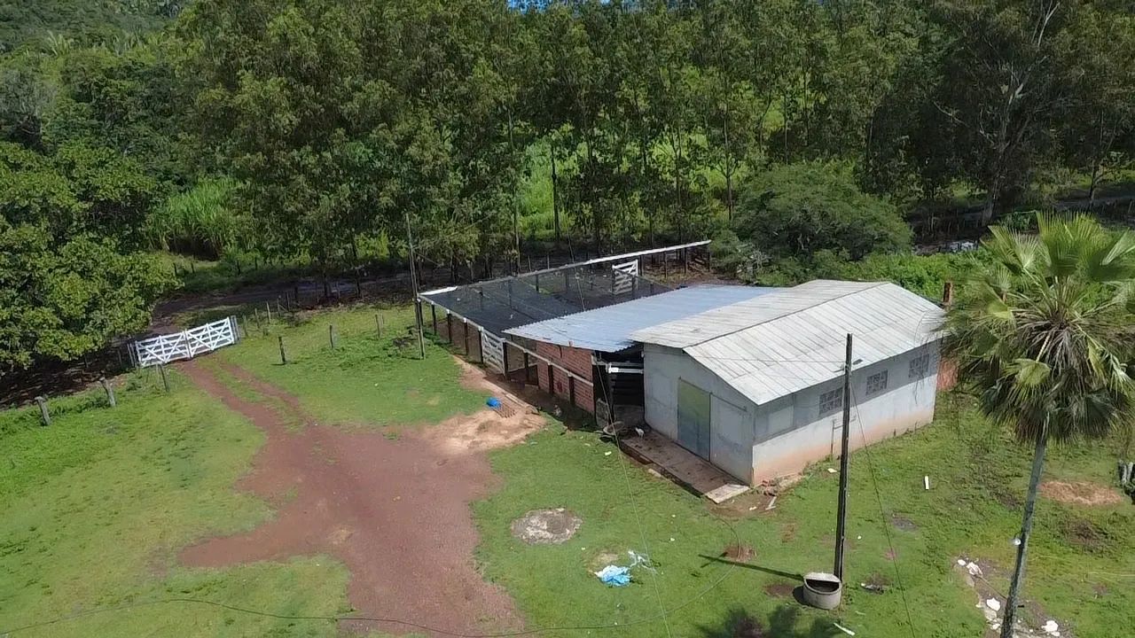 Fazenda - Foto 3