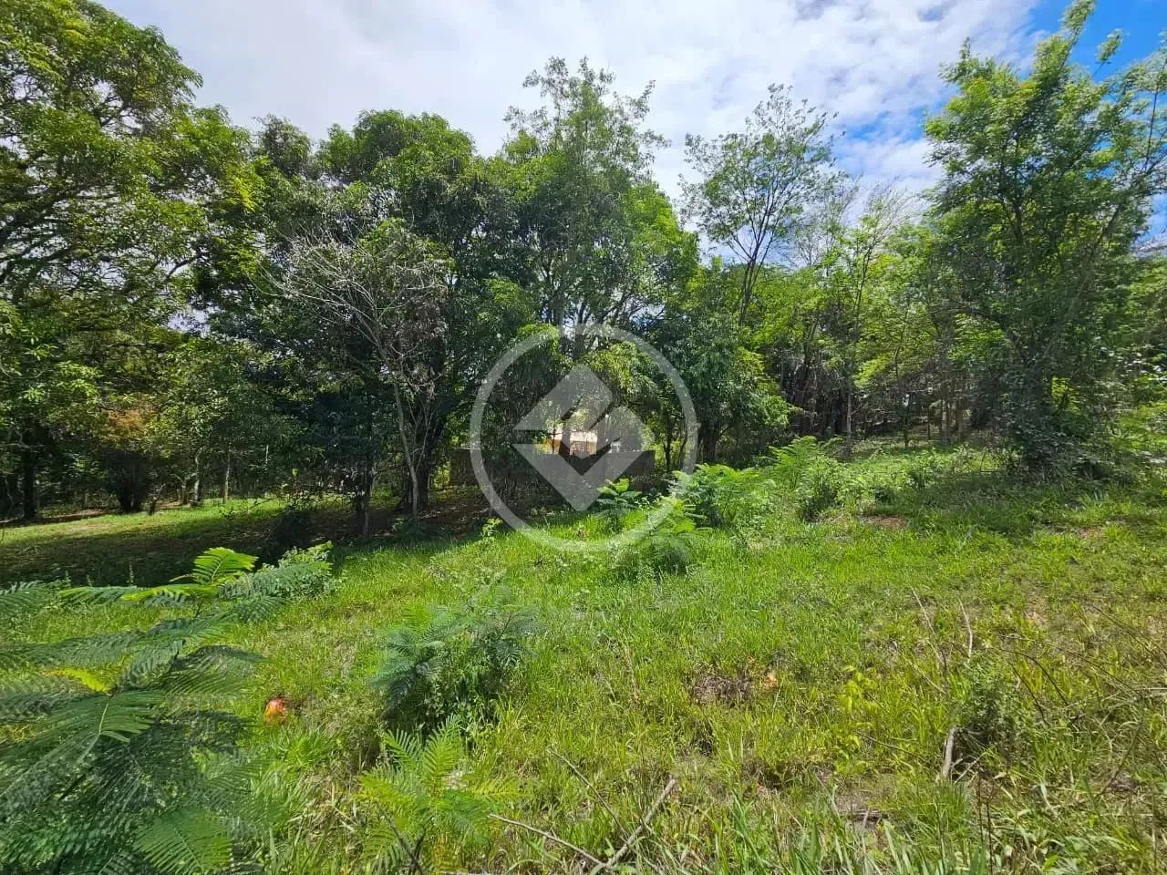 Lote Comercial Residencial Riviera codigo: 272046 - Foto 5