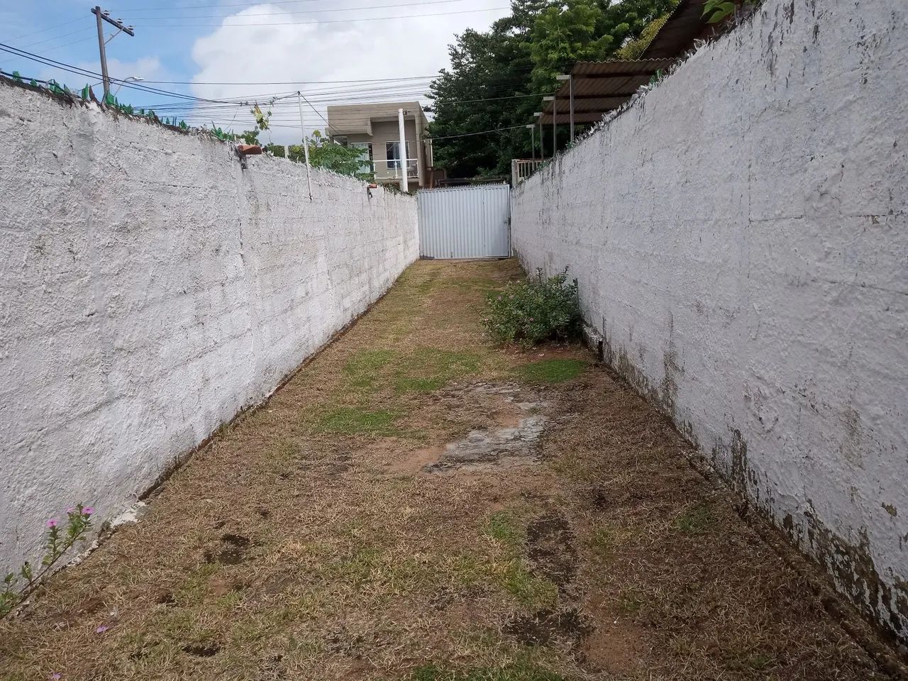 Aluguel  - Foto 2