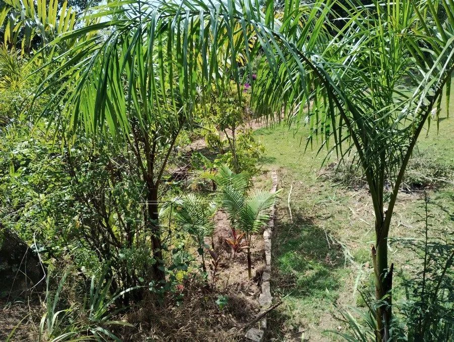 TERRENO CAPUTERA - Foto 3