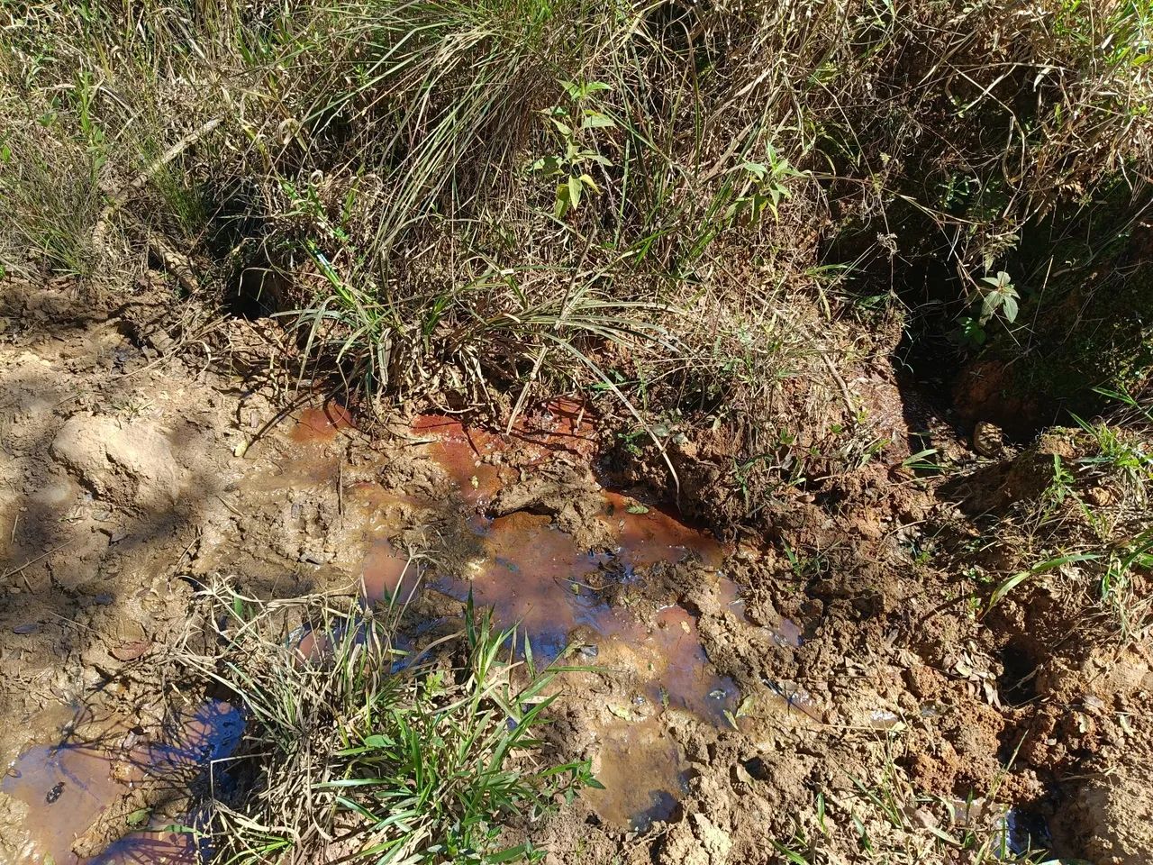 TERRENO 4,7 HC EM BONFIM  - Foto 2