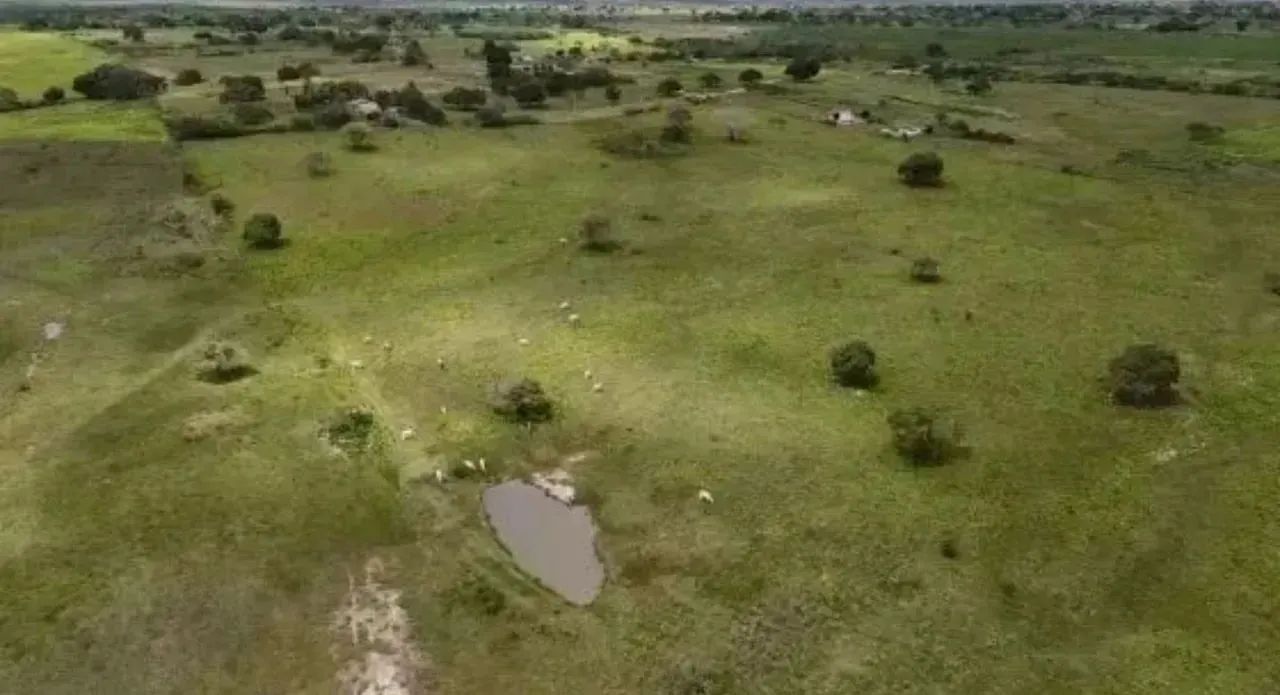 Fazenda Arapiranga a Venda 341 Hectares - Foto 10