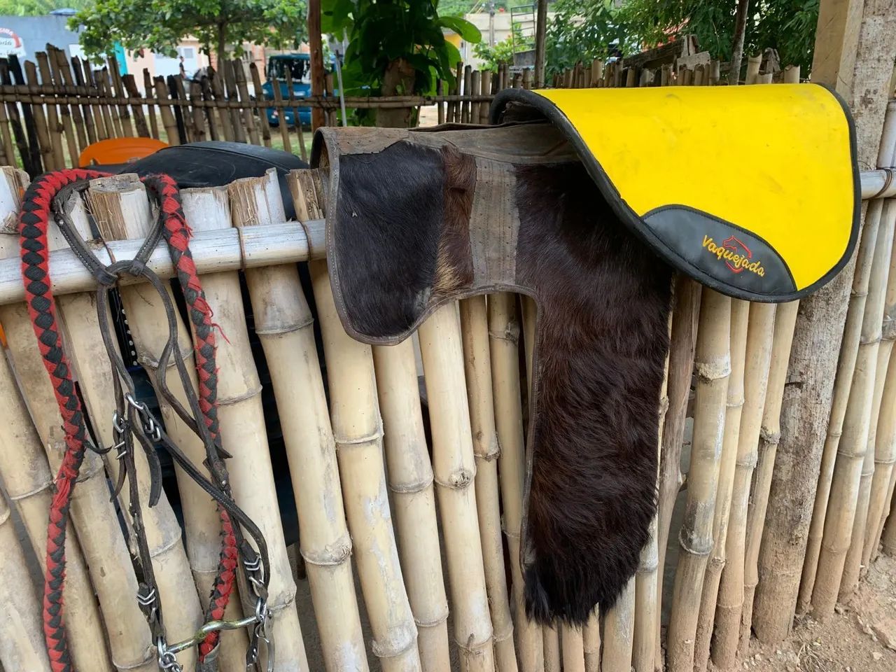 Vendo alazão com sela e tudo 