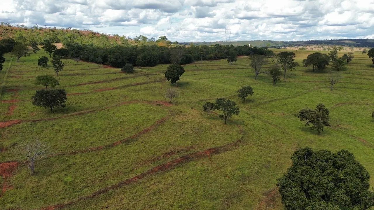 Fazenda dupla aptidão  - Foto 4