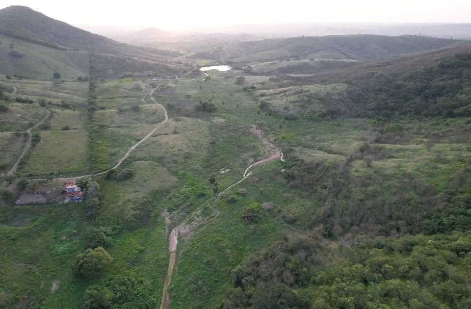 Arrendo fazenda 162 hectares  - Foto 4
