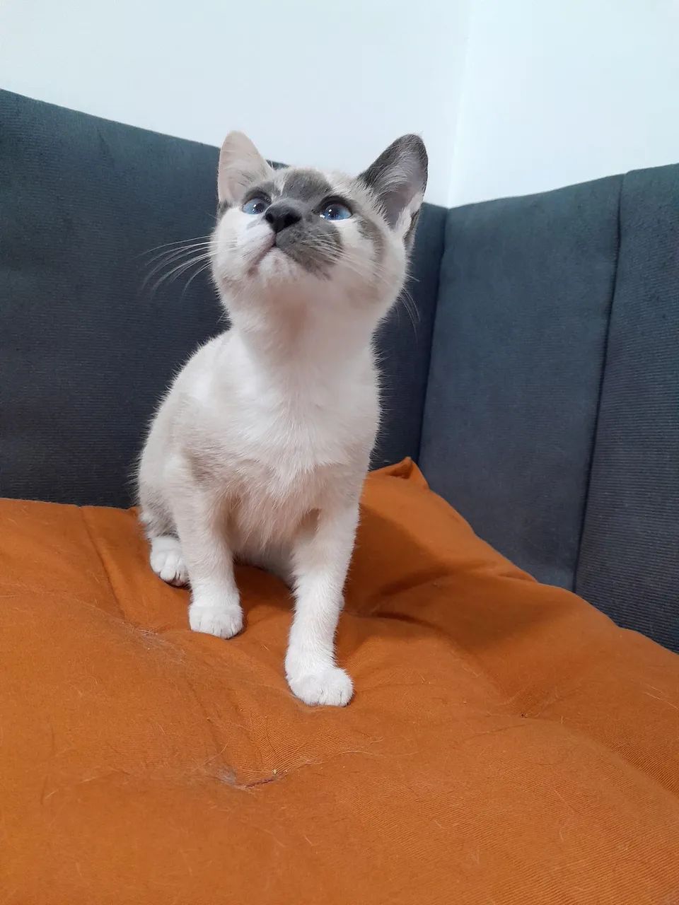 Cindy  - Foto 2