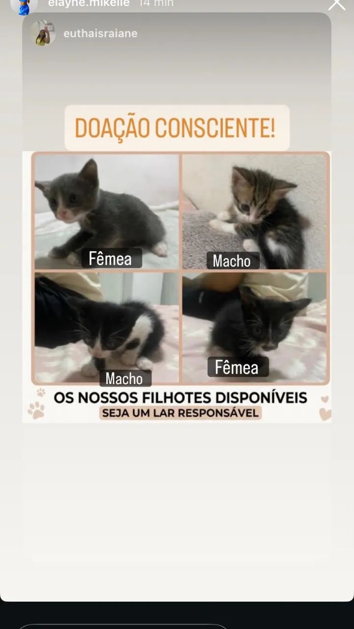 Doação consciente 