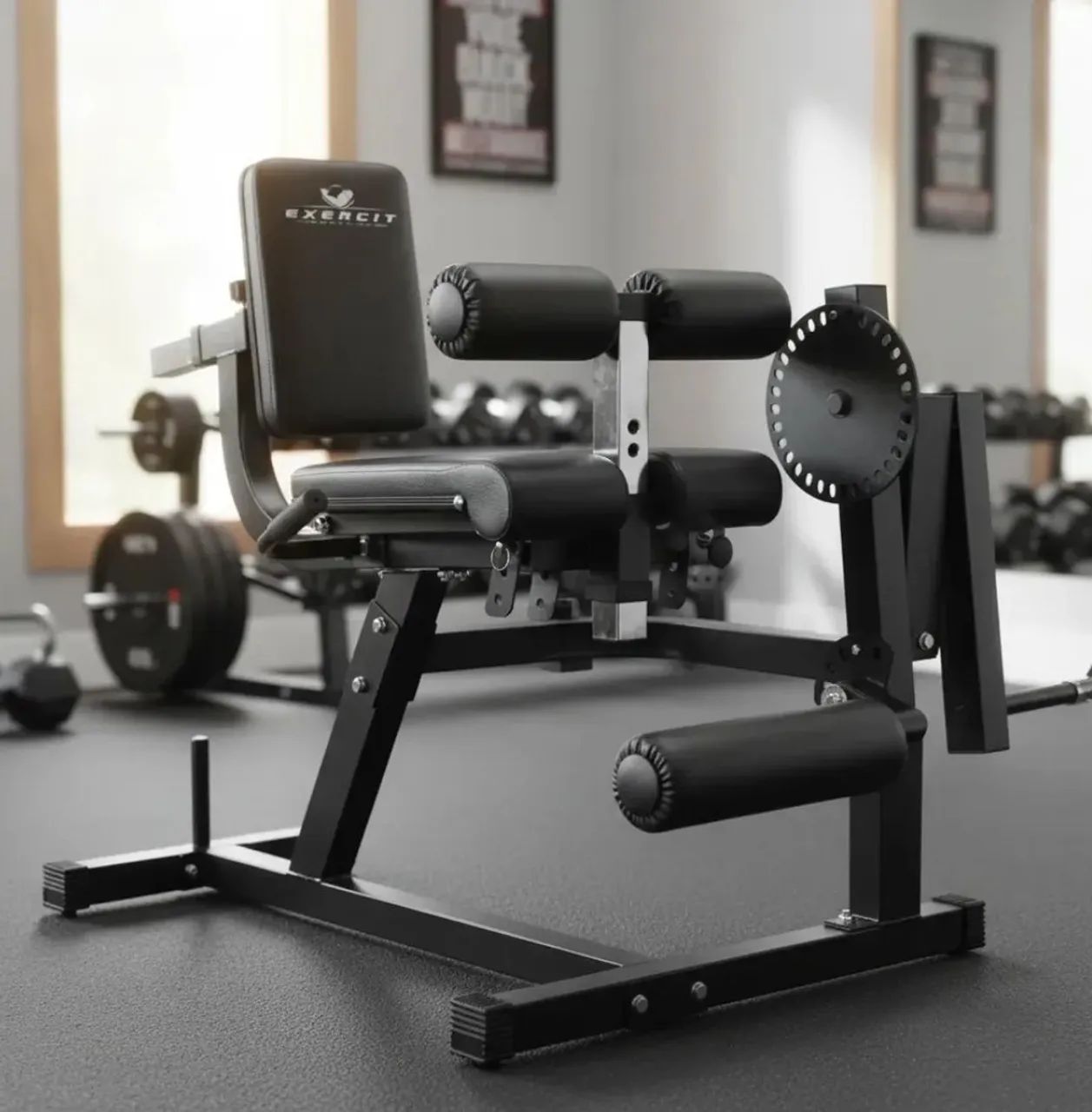 Cadeira Extensora E Flexora Exercit Mod. Ec-4.0 Para Anilhas