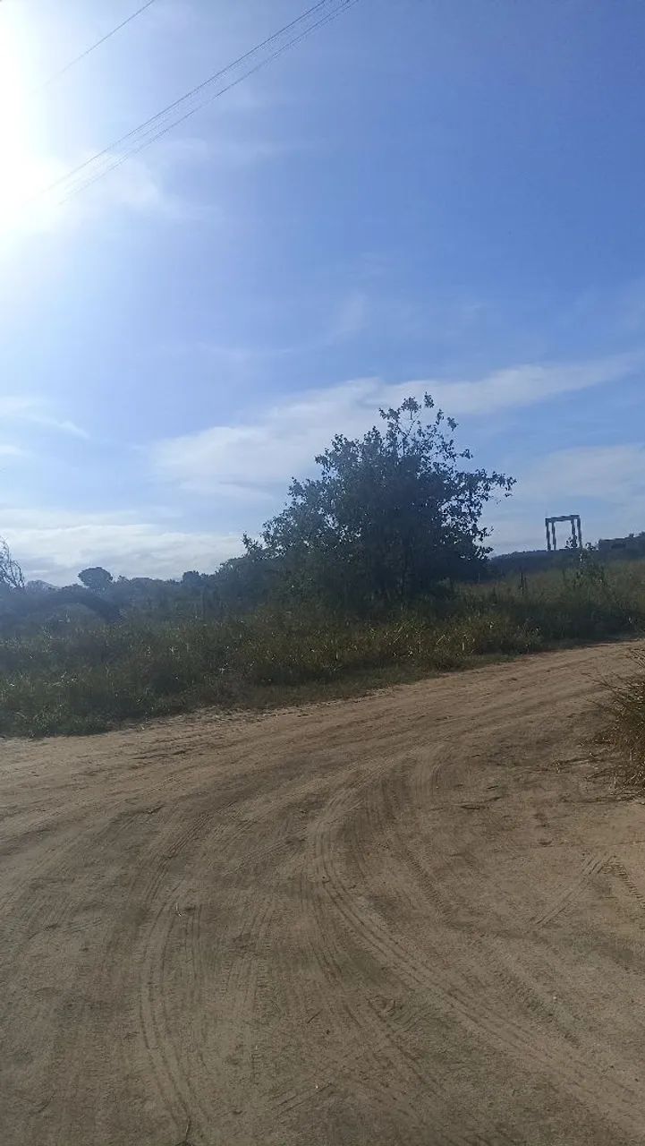 Terreno  - Foto 4