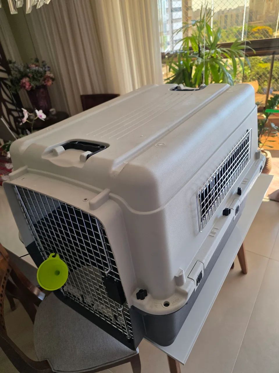 Caixa de transporte de Pets padrão Iata tamanho 4