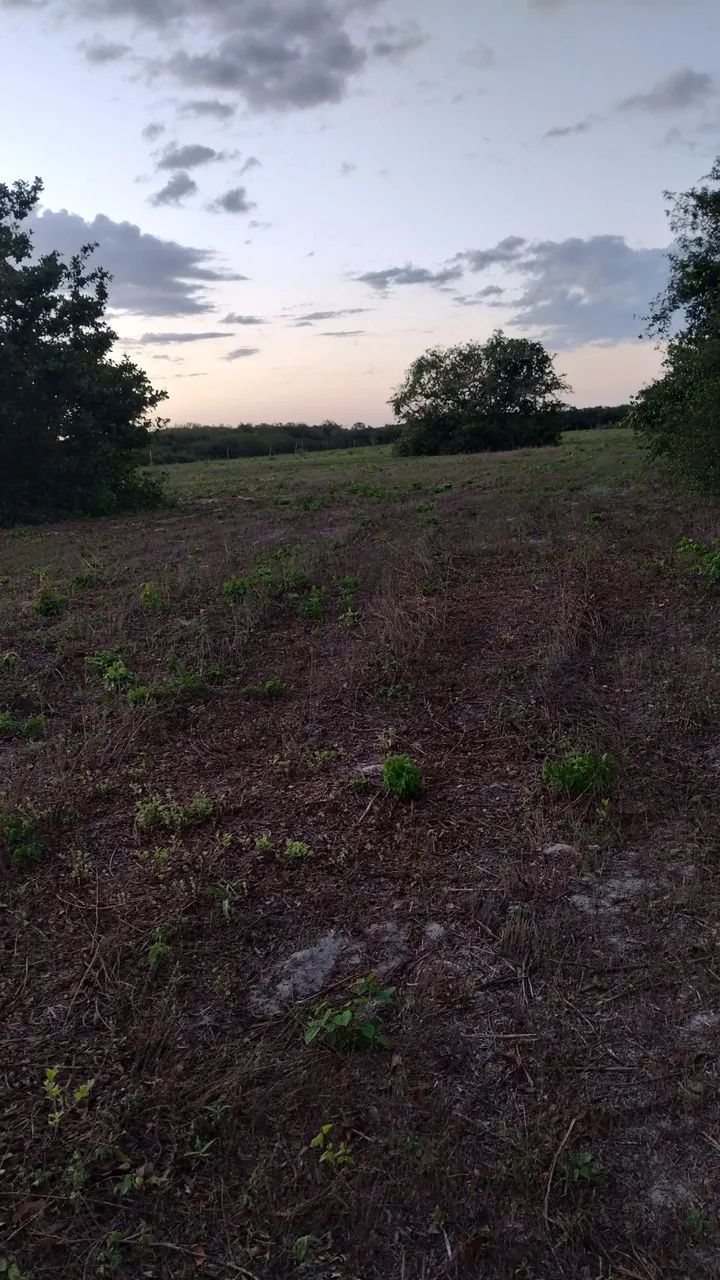 Terrenos na zona rural de Beberibe 