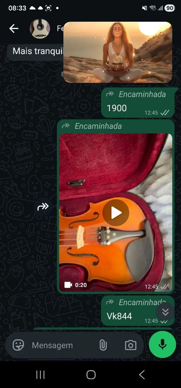 Violino novíssima 