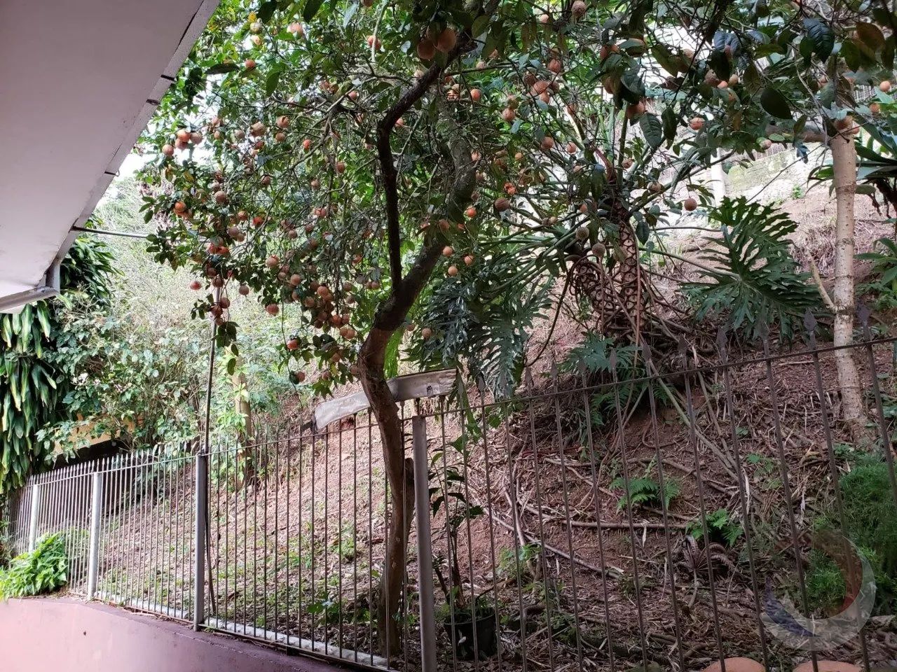 Casa Residencial de 3 dorms no bairro José Mendes - Foto 5
