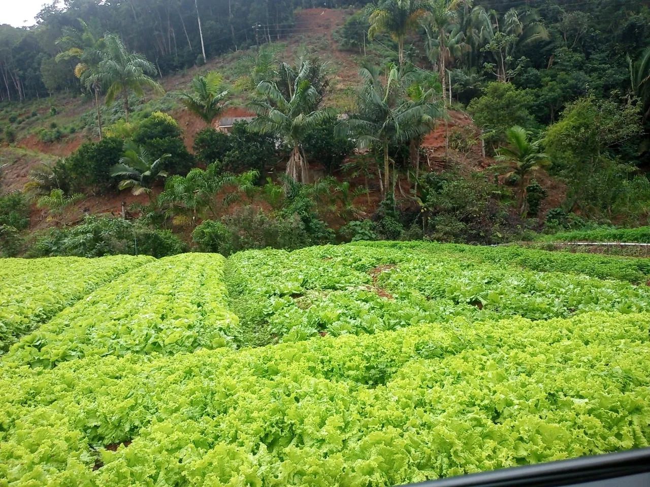 Sítio marechal floriano 64 mil metros  - Foto 5