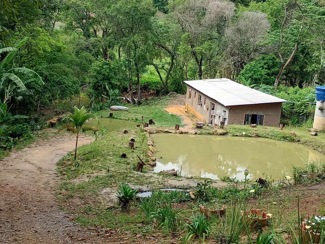 Foto - Piedade - Corrêas