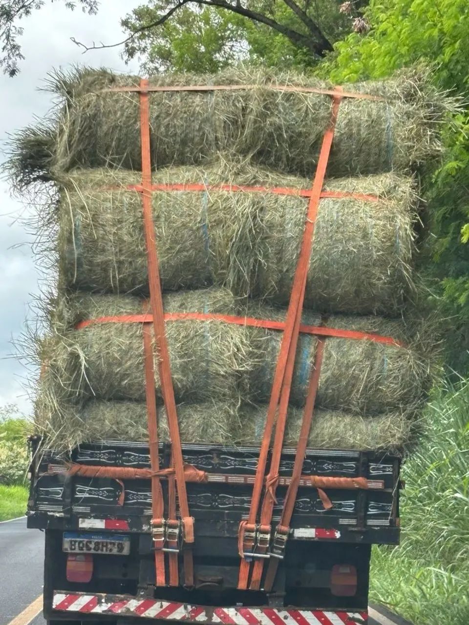 Feno massai rolo 85kg cavalo 38 ROLOS - Foto 2