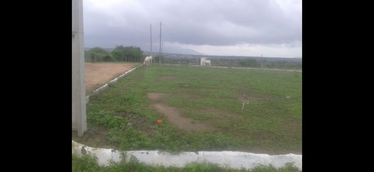 Vendo terreno 8x20 plano. - Foto 4